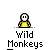 :wildmonkeys: